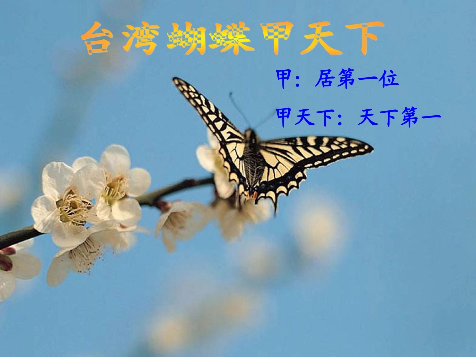 《台湾蝴蝶甲天下》课件(1)[1]_第1页
