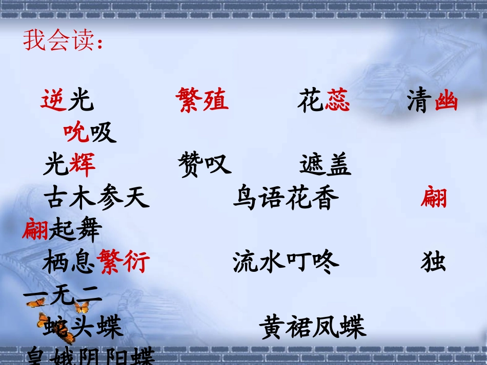 《台湾蝴蝶甲天下》课件(1)[1]_第3页