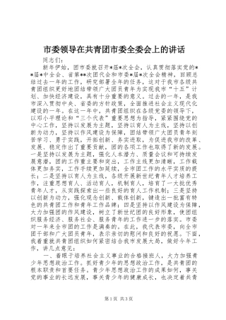 市委领导在共青团市委全委会上的讲话发言_1