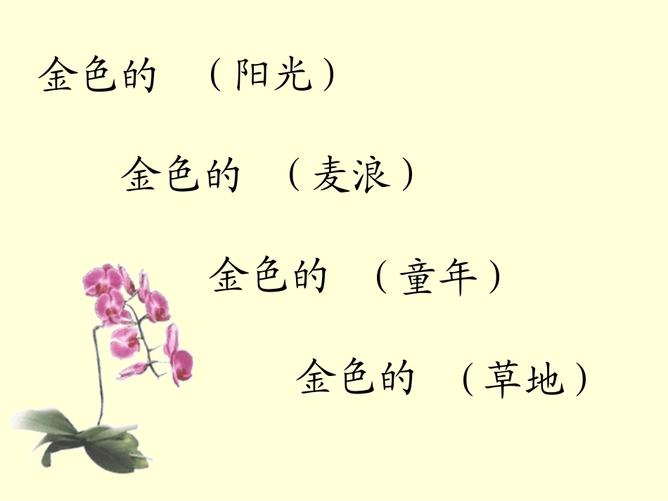 金色的草地课件_第2页