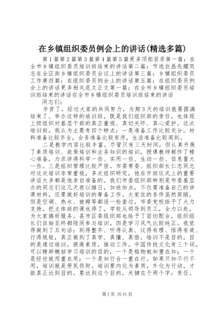 在乡镇组织委员例会上的讲话发言(精选多篇)