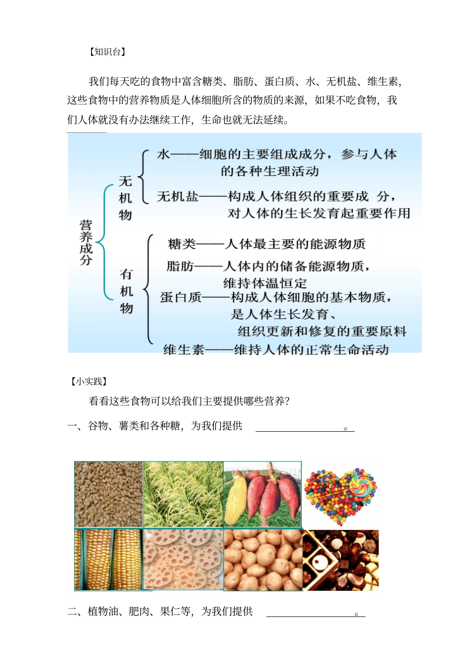 小学校本教材认识美食_第2页