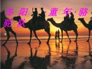冬阳·童年·骆驼队