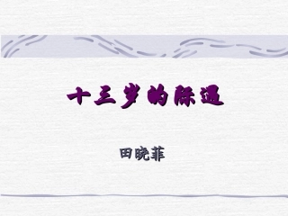 十三岁的际遇1