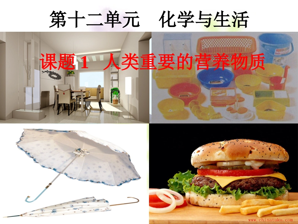 人类重要的营养物质_第1页