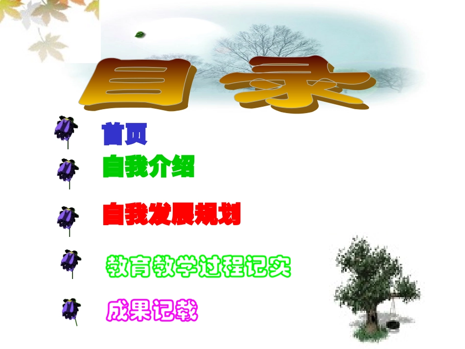 我的成长记录_第2页