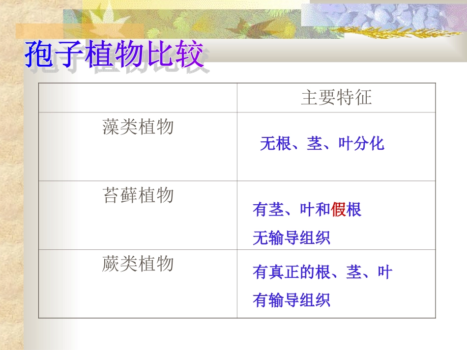被子植物的一生_第2页
