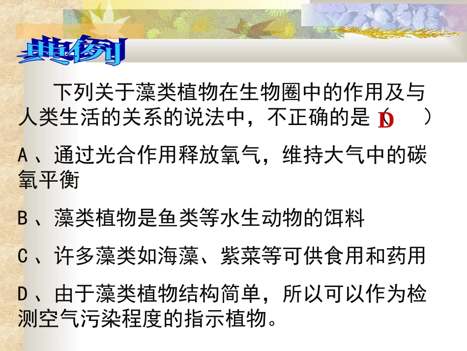 被子植物的一生_第3页