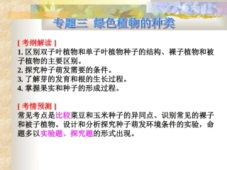 被子植物的一生