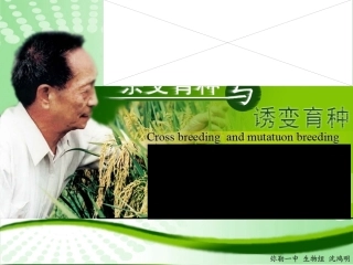 杂交育种与诱变育种