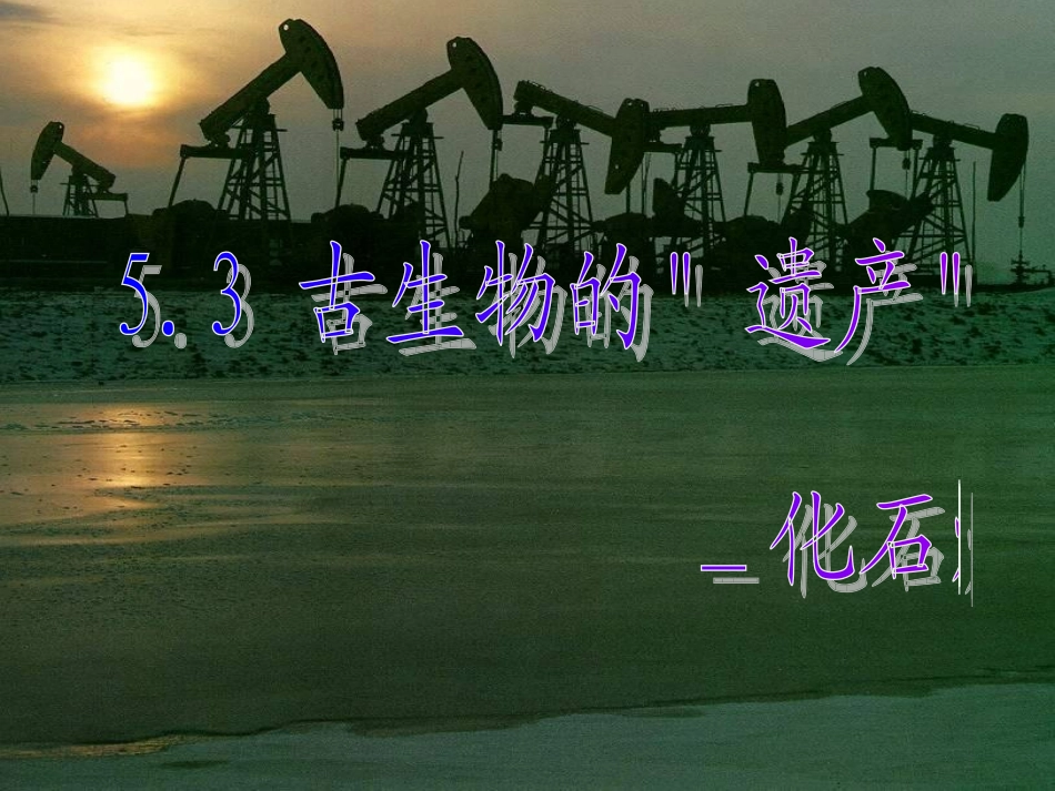 化石燃料 (2)_第1页