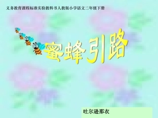 《蜜蜂引路》课件
