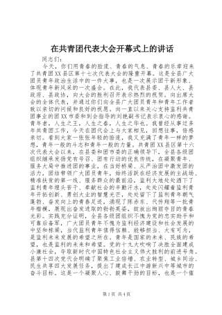 在共青团代表大会开幕式上的讲话发言