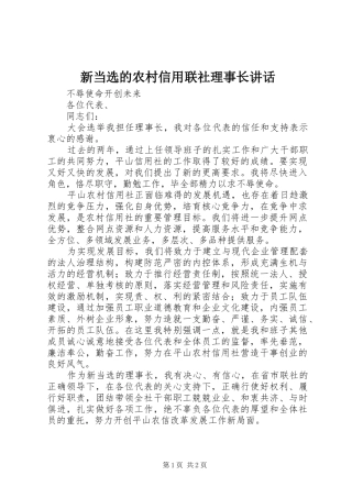 新当选的农村信用联社理事长讲话发言