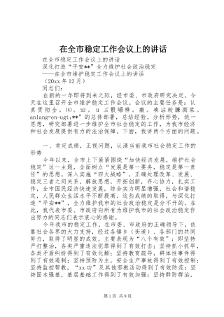 在全市稳定工作会议上的讲话发言