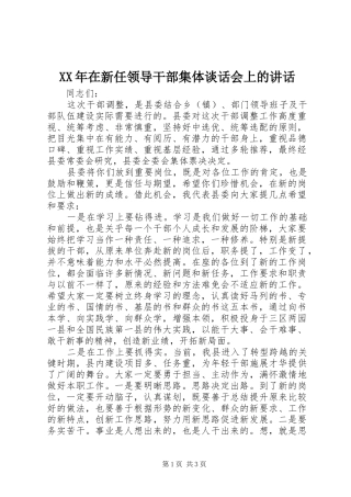 XX年在新任领导干部集体谈话会上的讲话发言