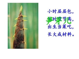 《3笋芽儿》教学课件