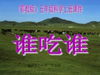 鄂教版小学科学五年级上册《谁吃谁》课件