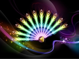 《金孔雀轻轻跳》