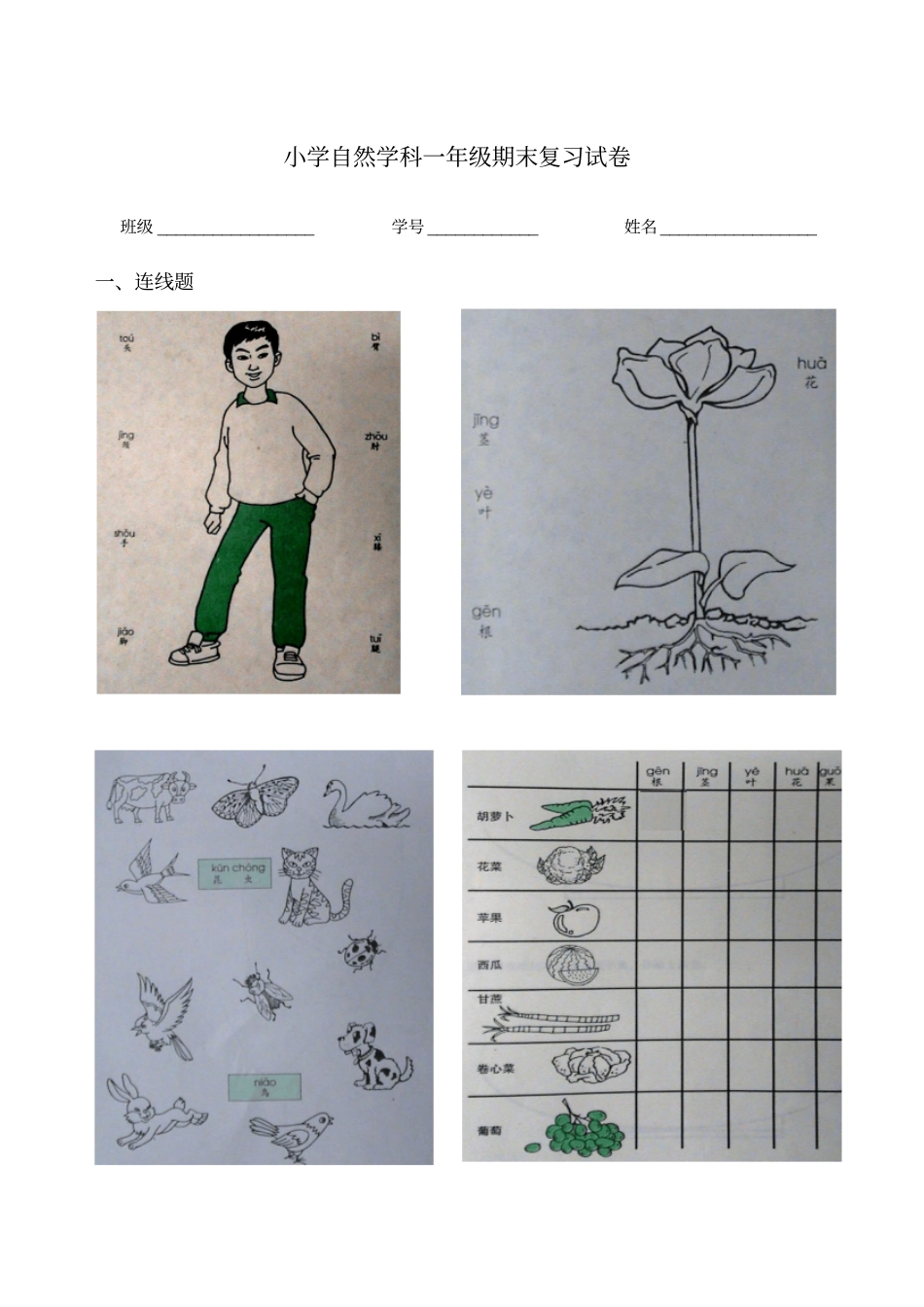 小学自然学科一年级第一学期期末复习试卷_第1页