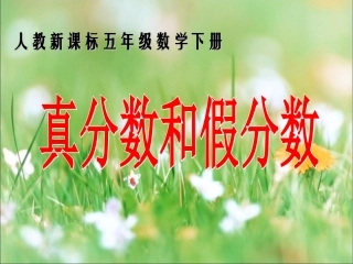 《真分数和假分数》教学课件2