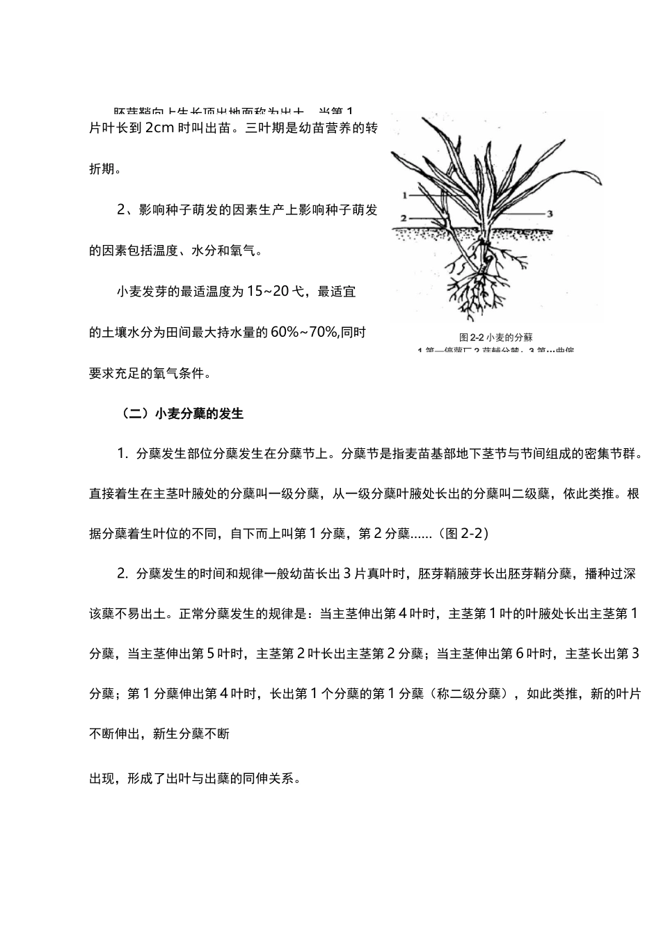 第二章 小麦生产技术 第三节 小麦前期的管理技术_第2页