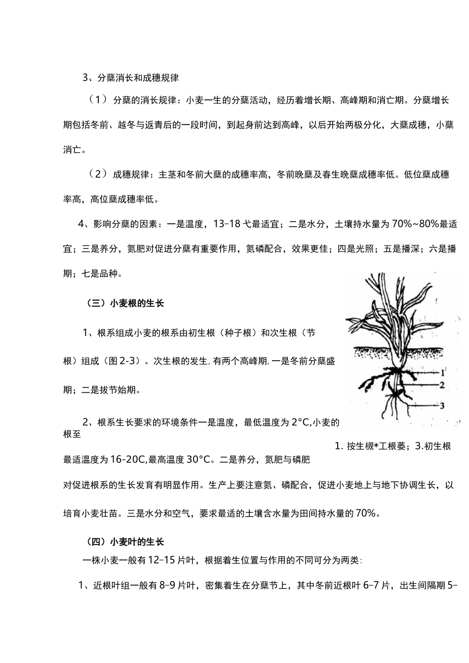 第二章 小麦生产技术 第三节 小麦前期的管理技术_第3页