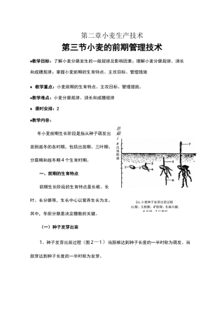 第二章 小麦生产技术 第三节 小麦前期的管理技术
