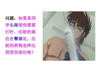 《第二节人体的血液循环》课件3