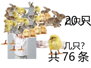 鸡兔同笼理想实验
