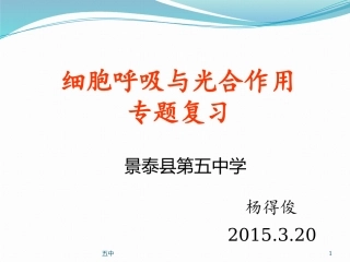 光合作用呼吸作用专题复习1-1