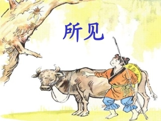 古诗两首所见小池