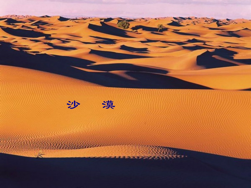 北师大版四年级语文下册《沙漠之舟1》PPT课件_第3页