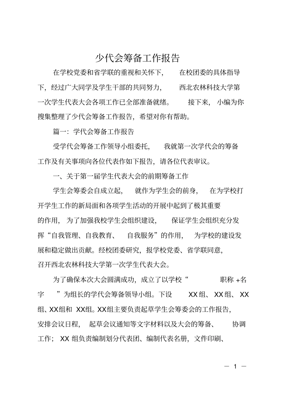 少代会筹备工作报告_第1页