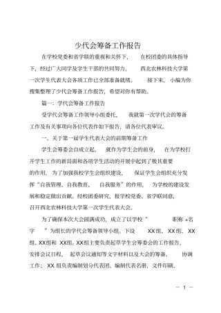 少代会筹备工作报告