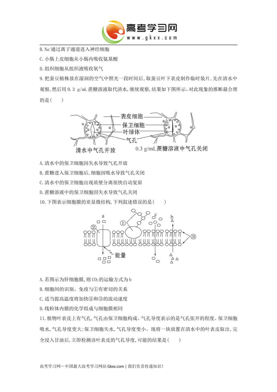 物质跨膜运输的实例_第3页