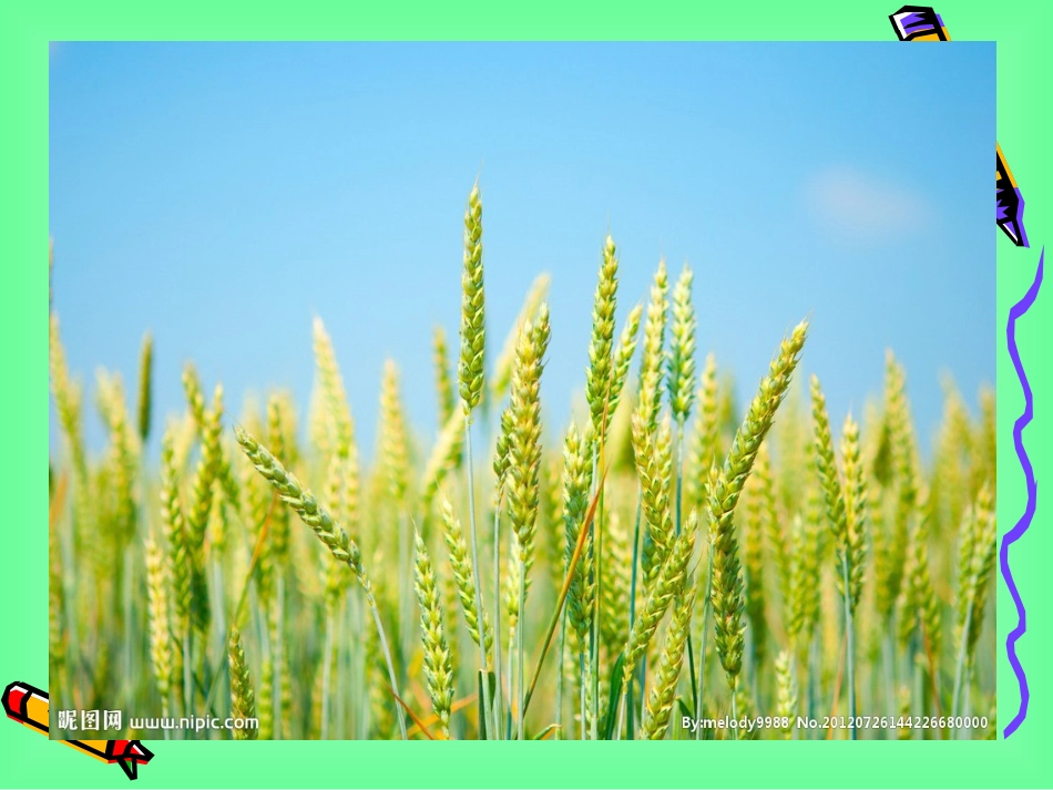 《三袋麦子》上课用20141214(2)_第1页