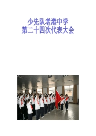 少代会正式材料