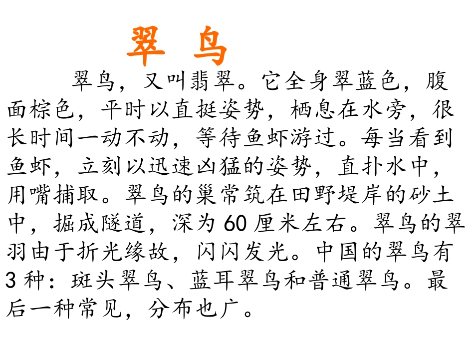 《翠鸟》-副本_第2页