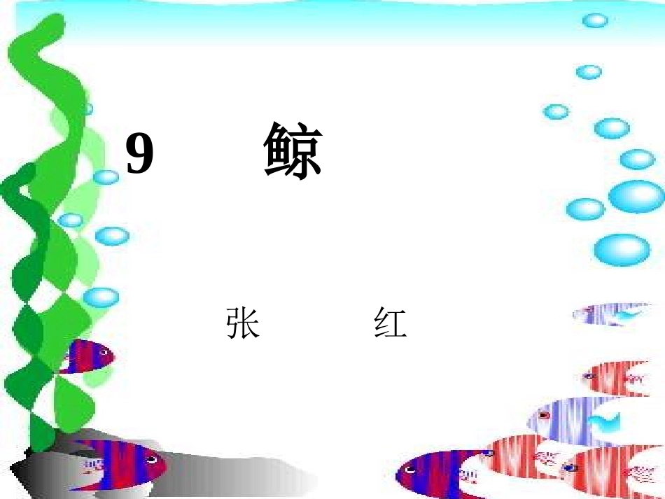 《鲸》课件【16页】(1)_第1页