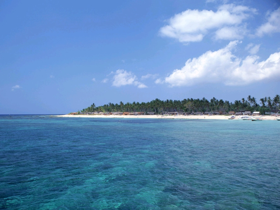 《鲸》课件【16页】(1)_第3页