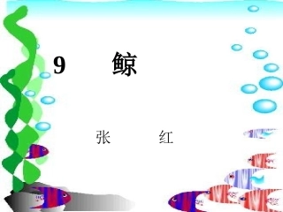 《鲸》课件【16页】(1)