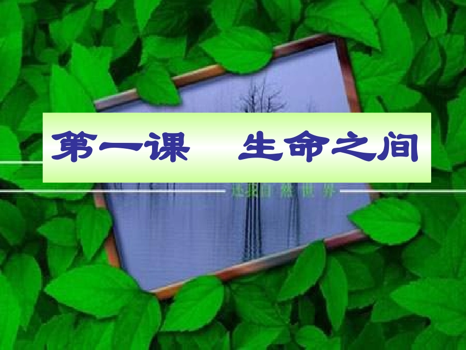 生命之间课件_第1页