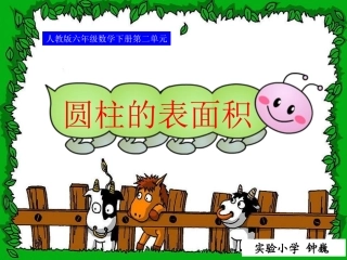 圆柱表面积定稿