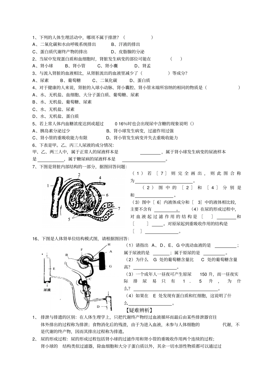 尿的形成和排出教学案_第2页