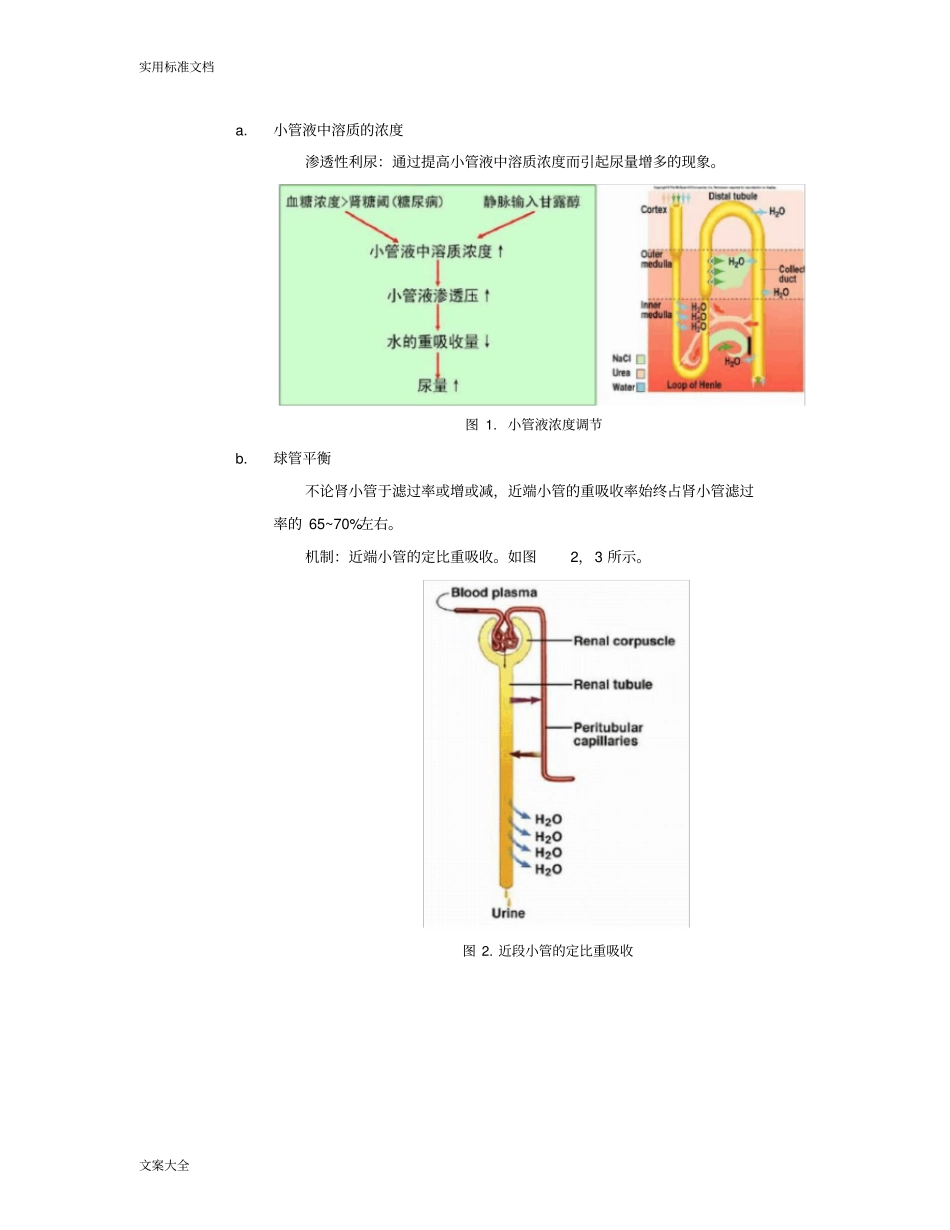 尿生成地影响因素、药物地利尿作用_第3页