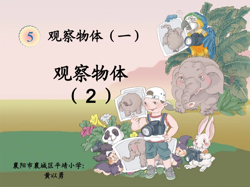 《观察物体（一）》_第1页