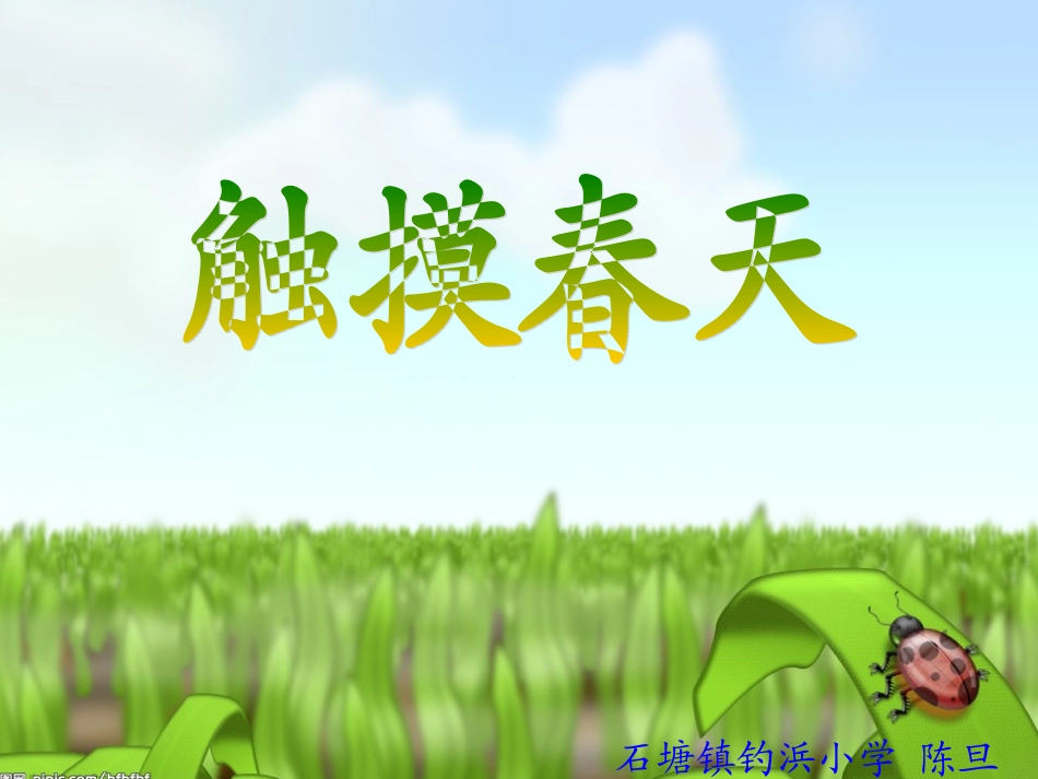 触摸春天公开课_第1页