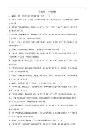 山东临沂2019年中考语文专题复习四诗词理解练习含答案
