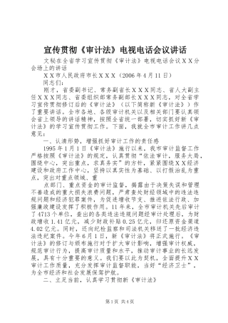 宣传贯彻《审计法》电视电话会议讲话发言